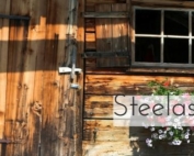 Steelasophical Caribbean music entertainment steel band dj 00e